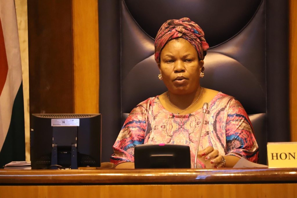 Opposition parties in the North West accuse the ANC of using public consultations as a tool to campaign for the 2024 Elections