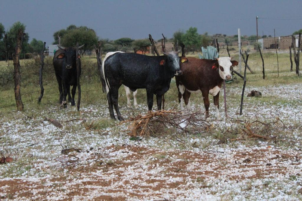 A hailstorm in Kraaipan North West, has left several families without a roof over their heads