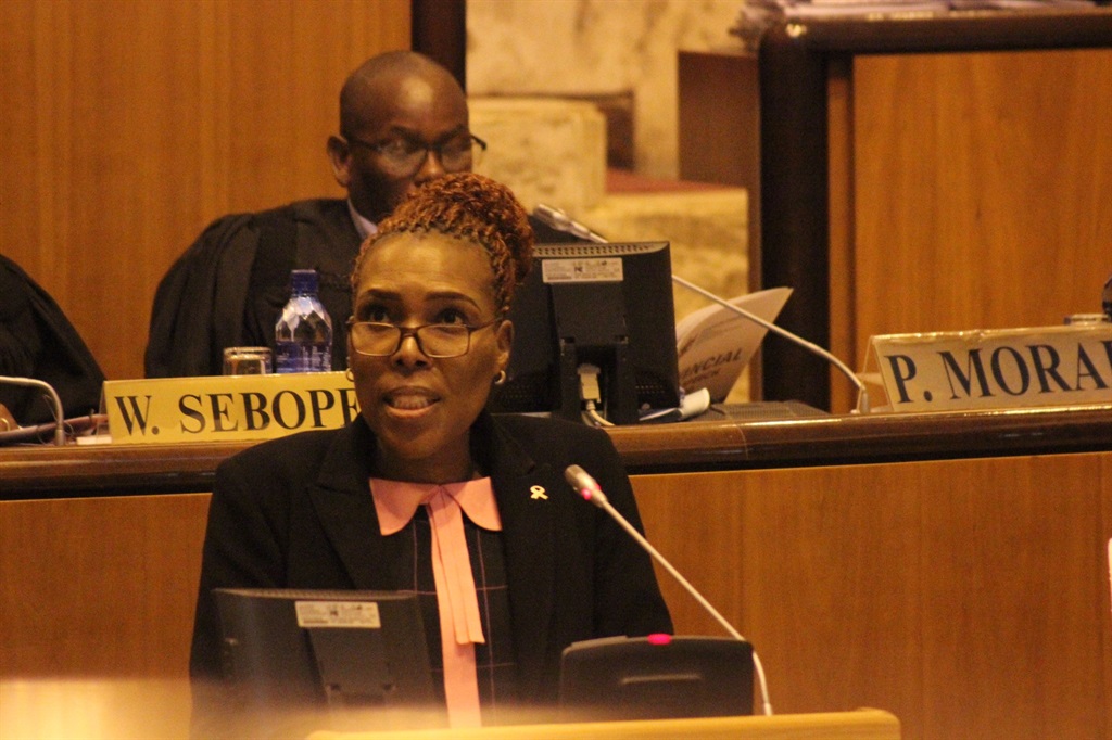 Motlalepula Rosho tables the North West Adjustment Budget