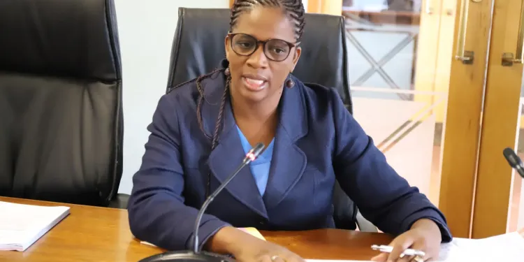 Bitsa Lenkopane vows to resuscitate struggling SOEs in the North West