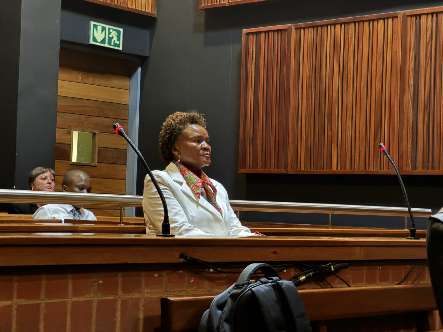 Former SAA board member Yakhe Kwinana faces serious criminal charges