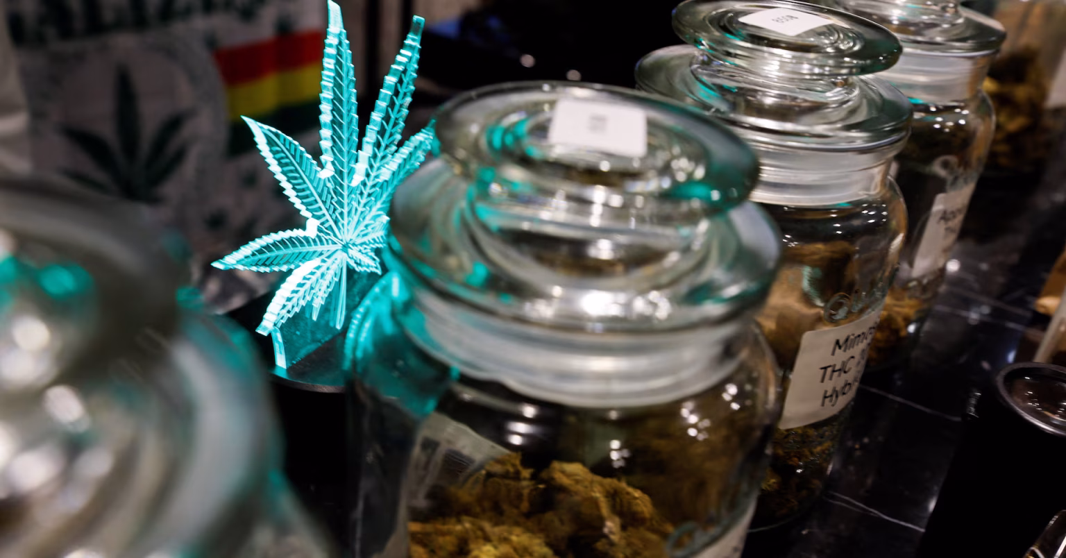 Health Minister quietly enacts regulations against cannabis and hemp foodstuffs