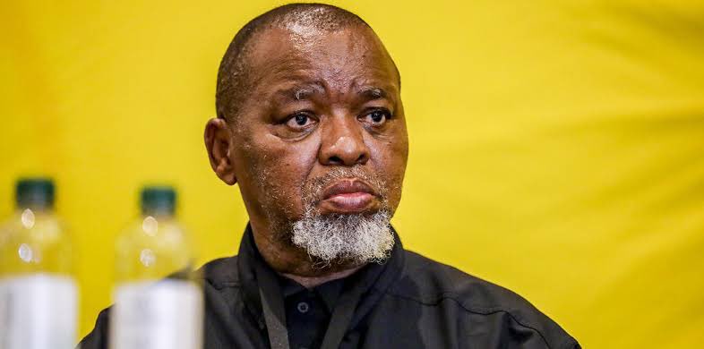 President Ramaphosa appoints Gwede Mantashe as acting Police Minister