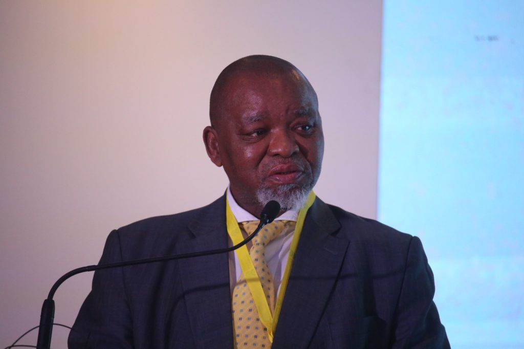South Africa’s Gwede Mantashe defends BRICS stance at G20 summit