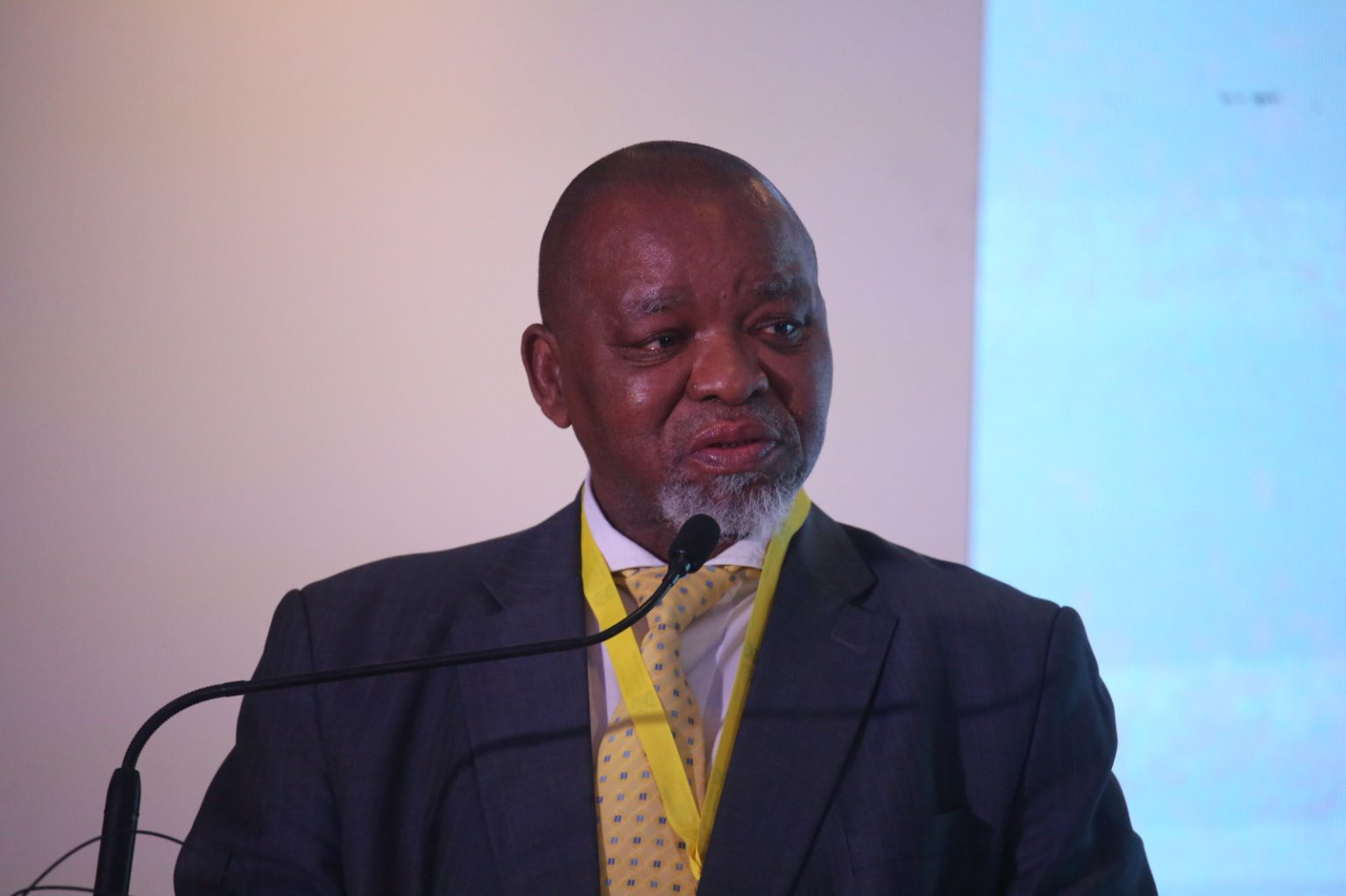 South Africa’s Gwede Mantashe defends BRICS stance at G20 summit