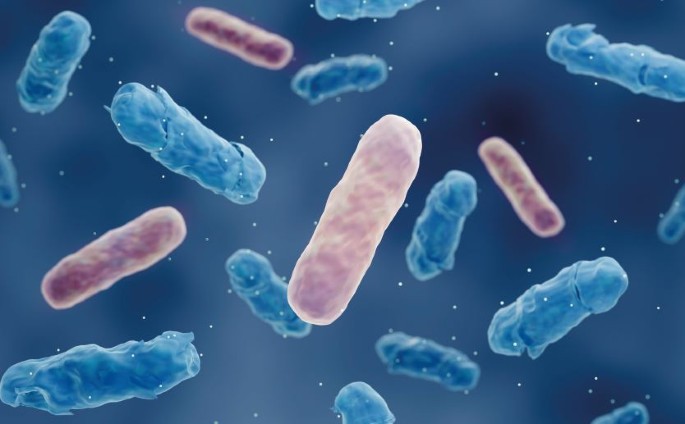 Gauteng Health warns against misuse of antibiotics amid rising antimicrobial resistance