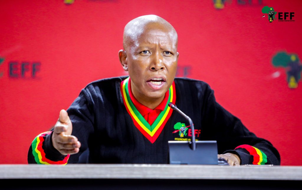 Julius Malema says Duduzile Zuma-Sambudla must face the law
