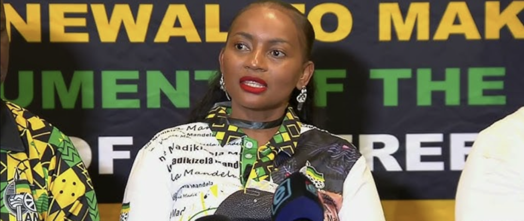 ANC’s Loyiso Masuku dismisses Helen Zille’s mayoral bid, says Joburg needs “fresh ideas”
