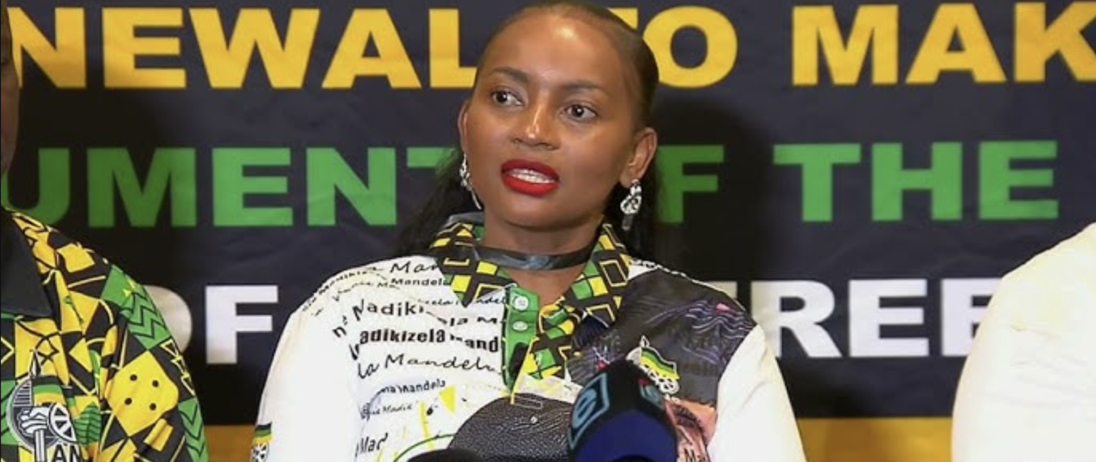 ANC’s Loyiso Masuku dismisses Helen Zille’s mayoral bid, says Joburg needs “fresh ideas”