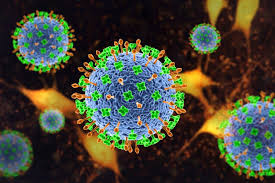 Nipah virus alert raised after confirmed cases in India’s West Bengal