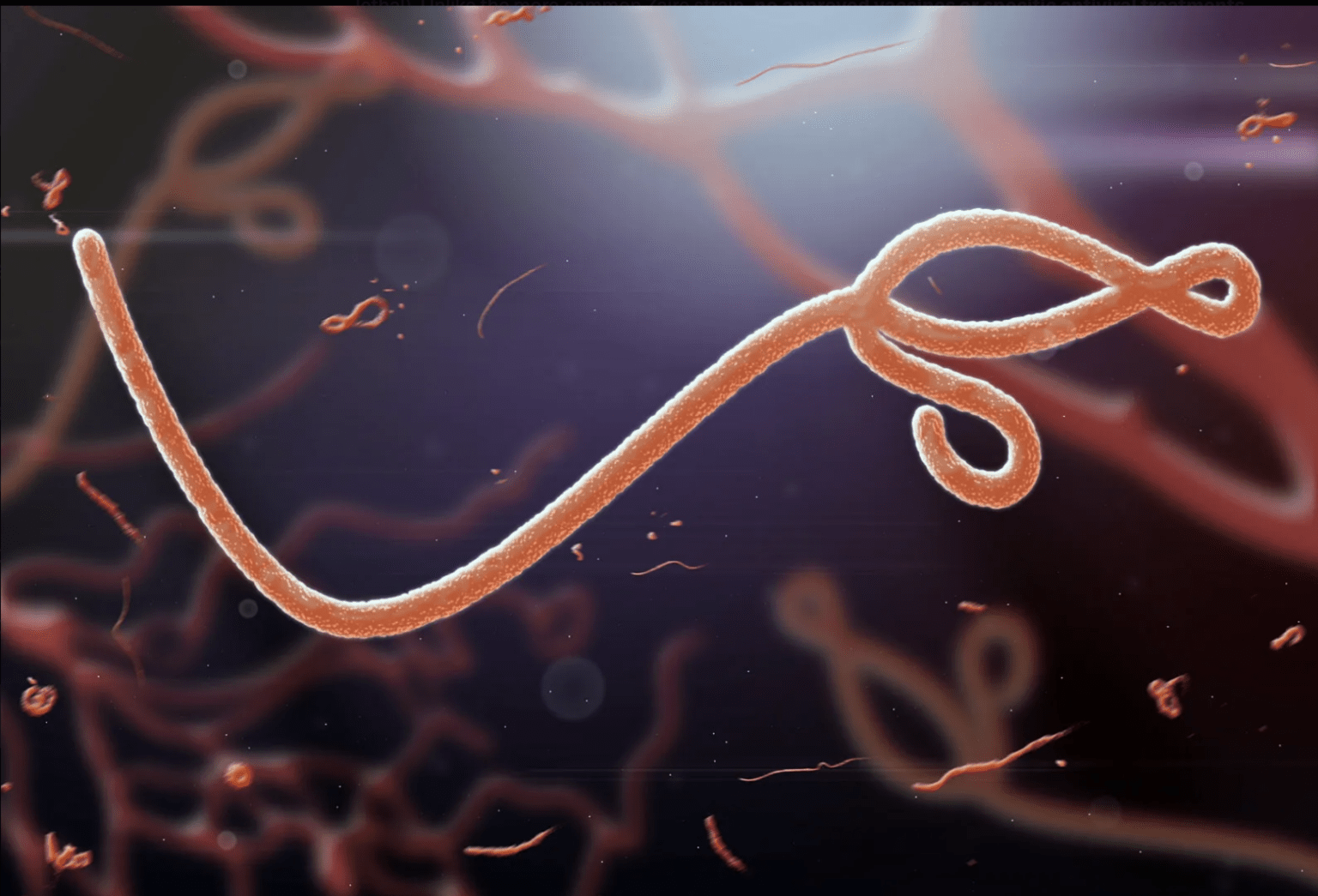 WHO Declares Ebola Outbreak Spanning DRC and Uganda a Public Health Emergency of International Concern