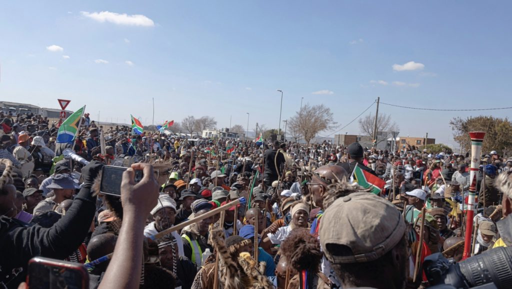 Ndabandaba hails ‘peaceful and successful’ anti-illegal immigration march in Soweto