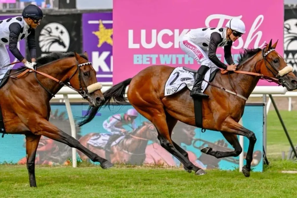 Hollywoodbets Durban July pumps nearly R800 million into Durban economy