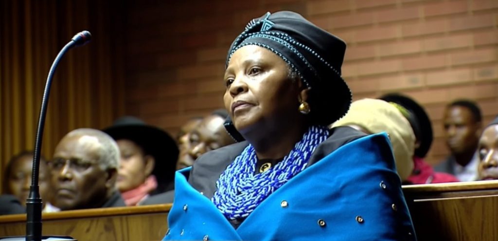 Defence Contractor Details Alleged Bribe Request Linked to Mapisa-Nqakula Trial