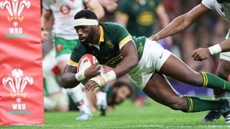 Springboks-Wales Clash Expected to Boost Durban Tourism and Local Economy