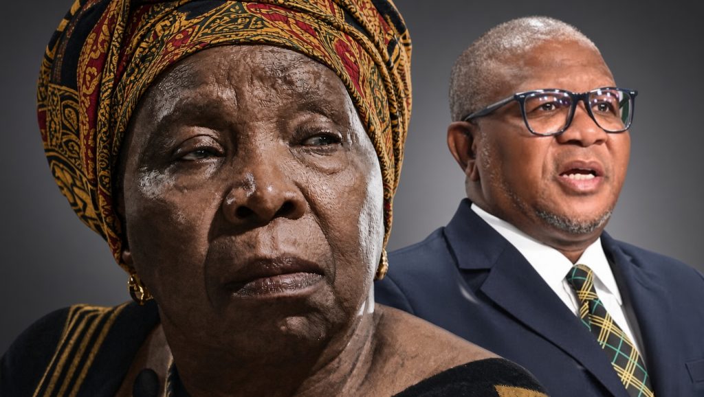 Mbalula-NDZ showdown: ANC power struggle lands in court as judgment reserved